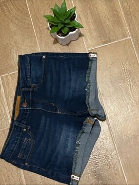 Joe’s Jean shorts